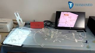 Angio Interventions Training System Ii