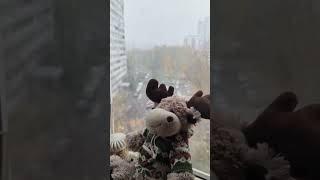 Первый Снег Юрия Шатунова⭐️ #Шатунов #Юрийшатунов #Память #Первыйснег #Снег #Москва
