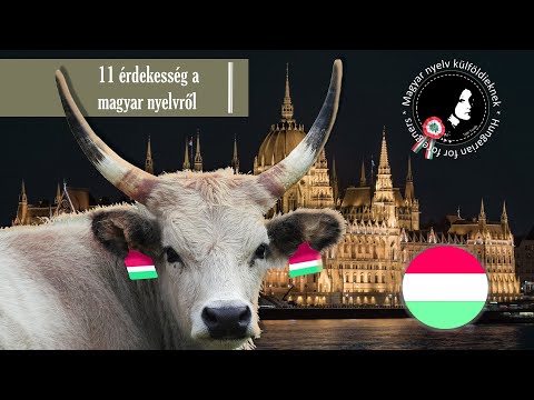 Videó: Nyitottak-e Egy Külföldit A Szovjetunióban? - Alternatív Nézet