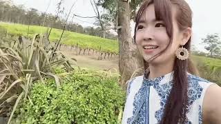 Download Lagu TGJ Australia 3rd tour vlog【2025.3/12~3/30】 MP3