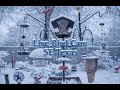 Live Bird Camera of South East Texas