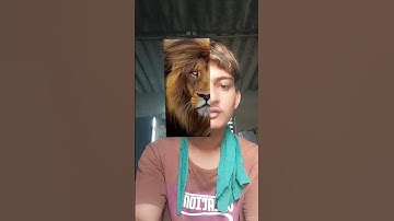 animal Face Filter Tutorial 💀😈#tiktok #moneylove #filter #tutorial