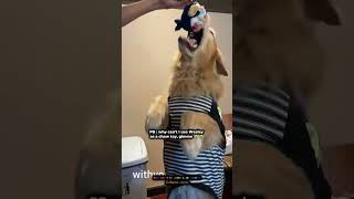 Chew Toy Gimme  williamest  est rvp williamjkp bl gmmtv blshorts viral shorts