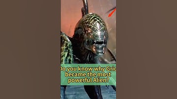 Do you know why Grid became the most powerful Alien?#filme #fyp #usa #predator #alien