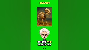 PART 7 | Are you able to answer all of them ? #quiz #riddle #challenges #funyquestions #brainteaser