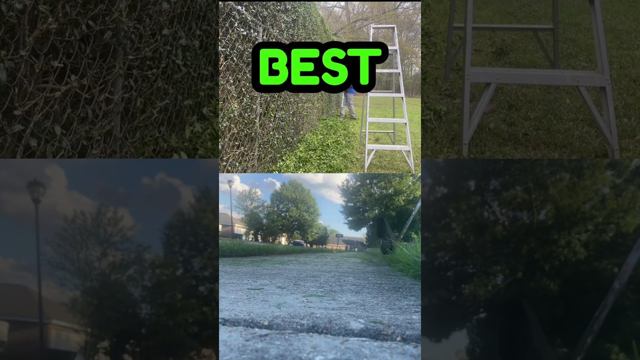 ROOKIE BEST : THE WEED EATER WITH VERSATILITY!
