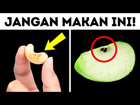 Video: Bulan-Bulan