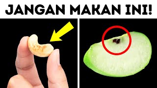 100  Fakta Tidak Biasa yang Tidak Anda Ketahui dan Ingin Anda Ketahui