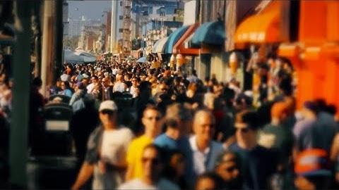 🌱 Science belongs everywhere — starting in your own neighborhood