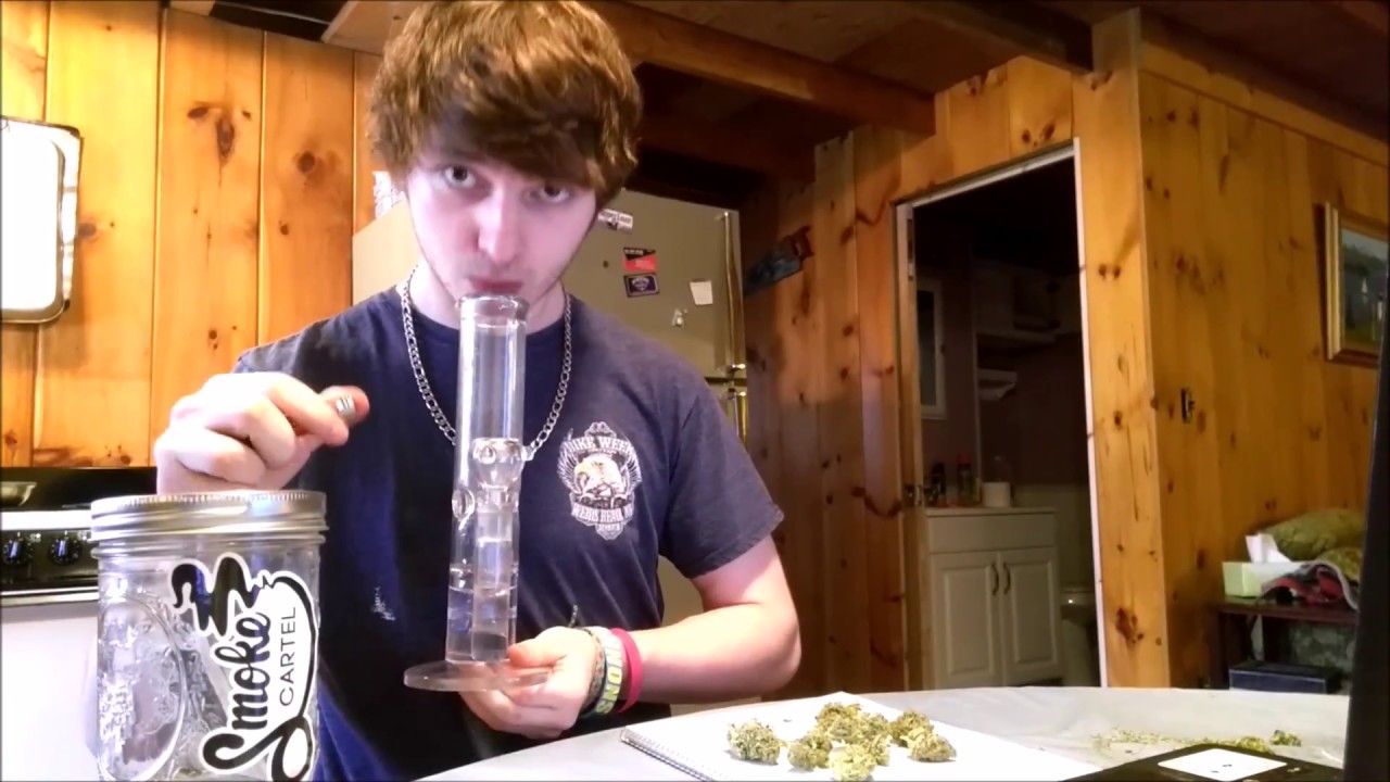 Chemdog strain review