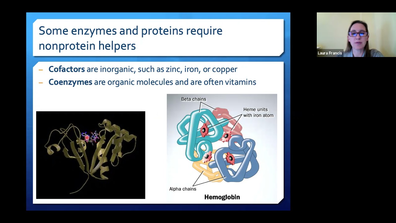 Bio151 Week 11 Video 4 Enzyme Inhibitors