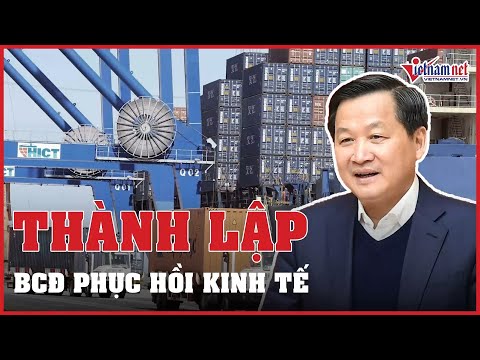 Video Chính phủ thành lập BCĐ triển khai chương trình phục... - youtube