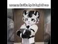 #furry #indonesia #solid