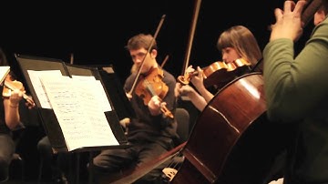 Spruce Peak Performing Arts Center | The Perlman Music Program 2011