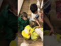 🎁 Aslan caută surpriza ascunsă în pungi! #romania #copii #surpriza #aslan