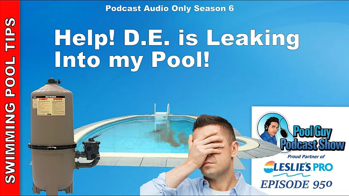 Help! D.E. is Leaking Into My Pool!