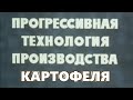 Технология возделывания картофеля