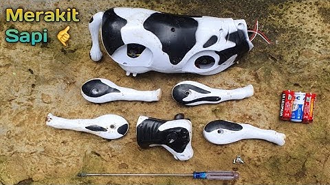 MERAKIT MAINAN SAPI, SAPI LUCU, SAPI MOO, SAPI KARTUN, SAPI JOGET, SAPI POTONG, COW