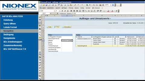 Demovideo BEx Analyzer SAP BI 7.0