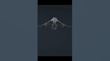 Beginner vs. Pro — 14 Years of Animation Growth #animation