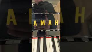 Yamaha U1 Reconditioned Upright Piano | Sound Demo (Ref 1137