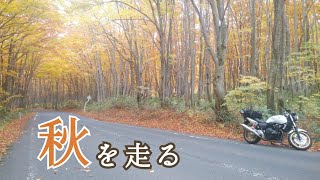 【CB400SF】青森八甲田の秋　～石倉山・田代平～