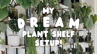 the LAST and FINAL living room plant shelf setup 🙃😮‍💨