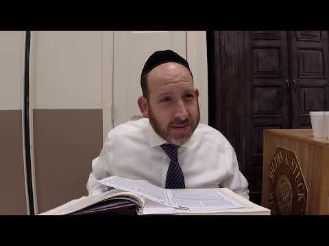 Bechoros 2 with Rabbi Shmuel Silber