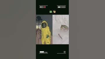 The Backrooms Amigos 33 👋🐸 | THE BACKROOMS MEME ANIMATION #backrooms #thebackrooms