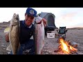 48hrs at a DESERTED Reservoir!! Catch, Cook, and Camp (All Alone)