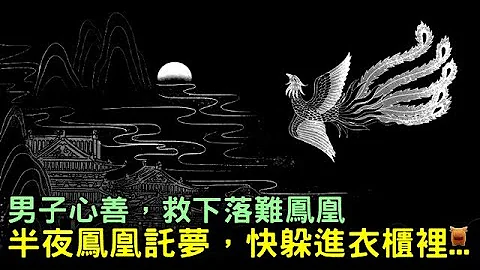 男子心善，救下落難鳳凰，半夜鳳凰託夢，快躲進衣櫃裡...【宋朝民間故事】 - 天天要聞