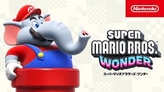 スーパーマリオブラザーズ ワンダー　スイッチ