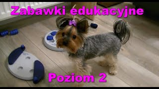 Pixie Rozpracowuje 2 Zabawki Edukacyjne Poniżej 54 Sek