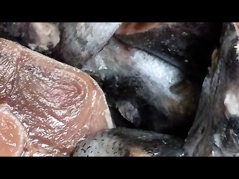 How To Dry Out A Tuna Tail