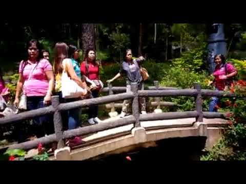 My last trip to baguio essay picture