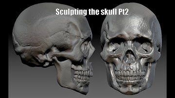Sculpting the skull part 2