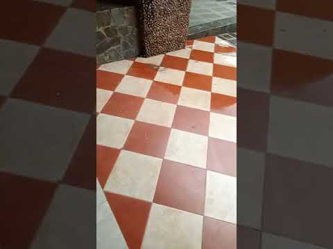 Video: Lantai mosaik adalah dekorasi sejati dari setiap ruangan
