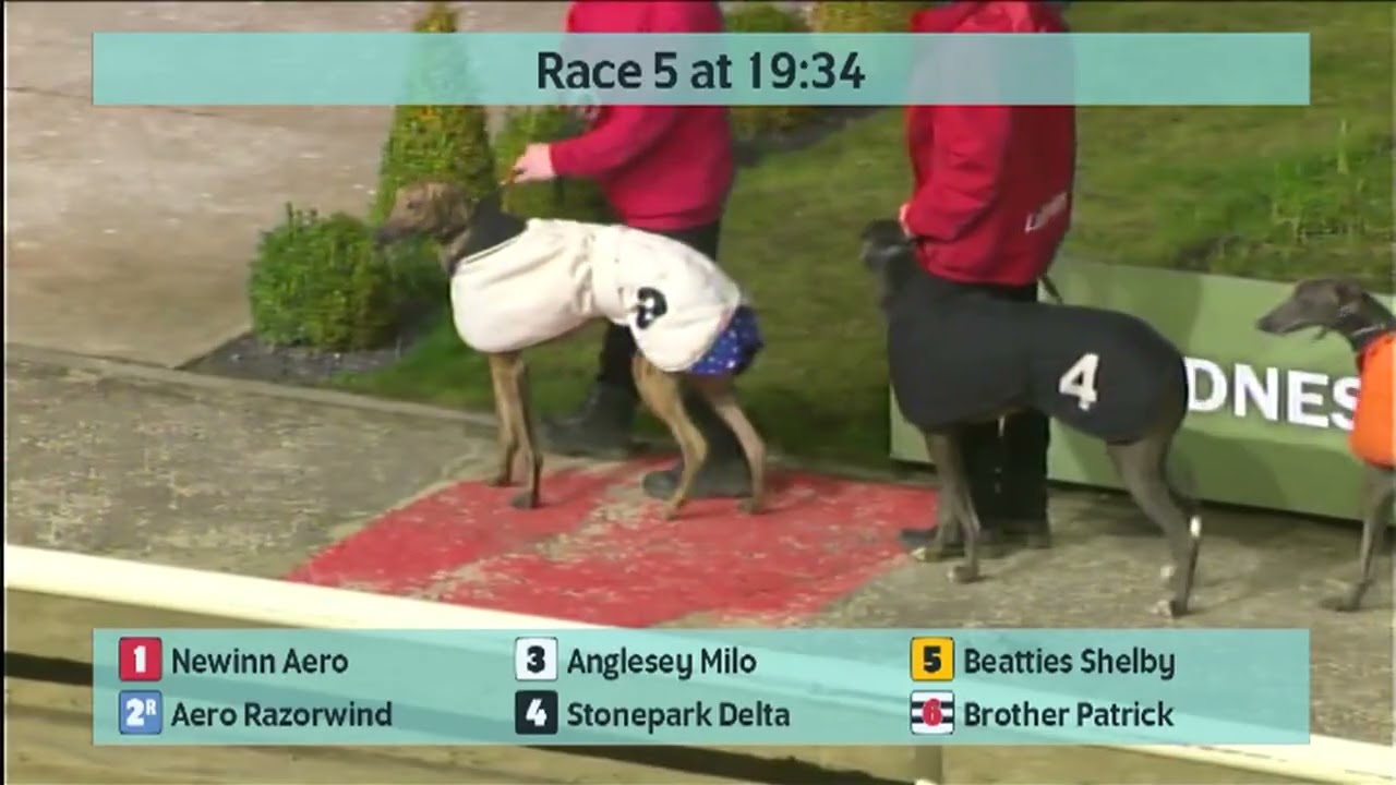 Monmore Greyhounds Races on 28th February 2026