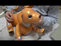 AIBOがウチにやって来た【キャラメルエディション】アイボのモミジ　SONY dog type robot AIBO caramel edition