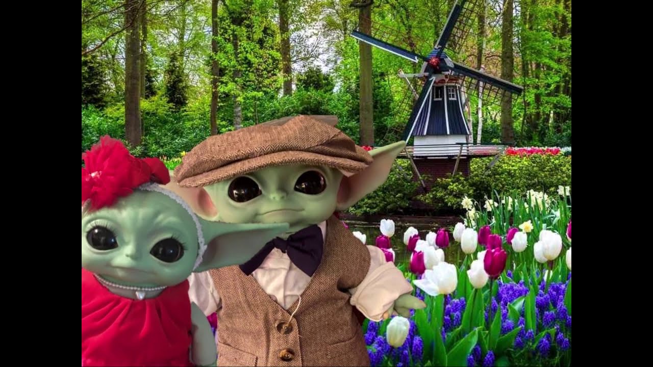 Tiptoe Through the Tulips YouTube