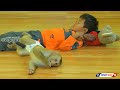 Adorable Baby Kako Playing With Brother On The Floor