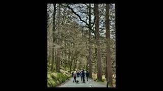 Day Trip To Glendalough