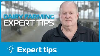 Sorting – Dairy Farming Expert Tips