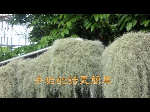 1030519牆壁的頑垢去除法