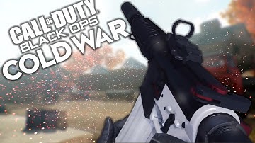 THIS XM4 SETUP IS STILL DEADLY IN COLD WAR