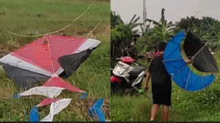 Seruuu Becek Becekan Bocil Main Layangan Lele Cotek Blolong Di Sawah