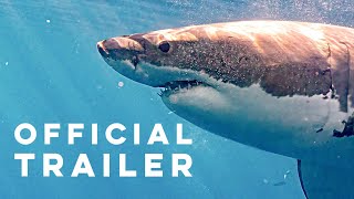 Keepers of the Blue | Official Trailer [4K]