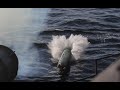 Боевые стрельбы фрегата «Маршал Шапошников» в акватории Японского моря