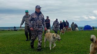 Ринг Волчана/Средняя группа/