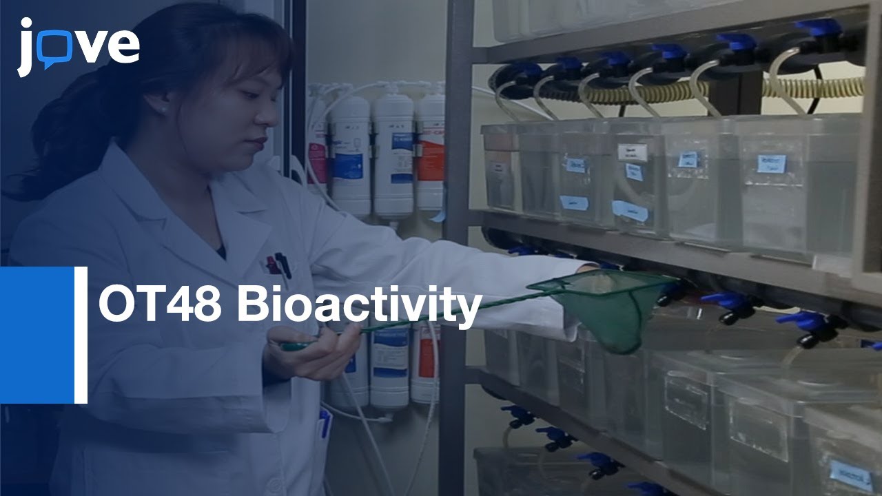 OT48 Bioactivity Assessment by Spheroids, Assays and Xenografts ...